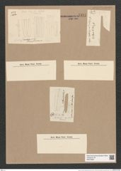 Synedra rumpens meneghiniana [sic] (de-Toni-Nr.: Genus 66) Zeichnungen Sammlung Grunow Nr. 5391 (NHMW-BOT-W0373800)